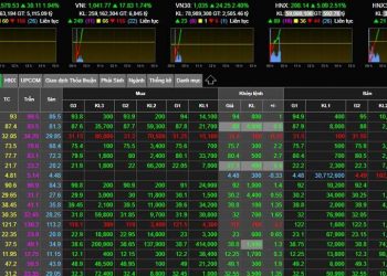 Đảo chiều tăng sau cú sốc lịch sử, chứng khoán phòng thủ mốc 1.000 điểm