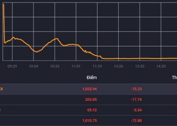 Nên làm gì sau ngày đen tối nhất lịch sử chứng khoán Việt Nam?